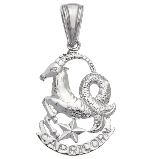 Capricorn 1 1/2in Zodiac Charm